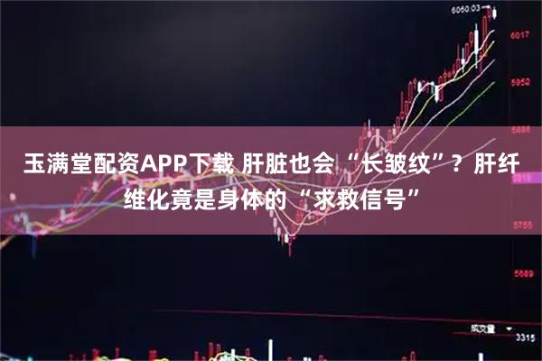 玉满堂配资APP下载 肝脏也会 “长皱纹”？肝纤维化竟是身体的 “求救信号”