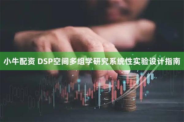 小牛配资 DSP空间多组学研究系统性实验设计指南