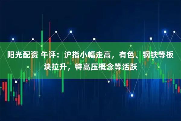 阳光配资 午评：沪指小幅走高，有色、钢铁等板块拉升，特高压概念等活跃
